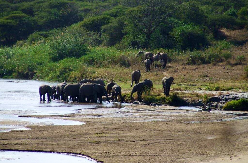 EuroZulu Safaris – Monday 16 June 2014