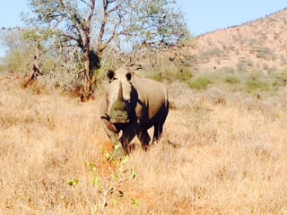 EuroZulu Wildlife Diary – Tuesday 3 June 2014