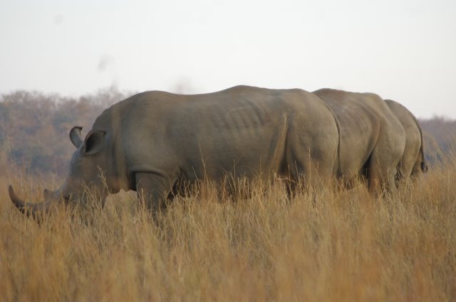 EuroZulu Safaris – Saturday 9 August 2014