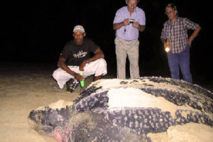 Turtle tours in the iSimangaliso Wetland Park